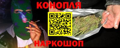 ешки Бийск