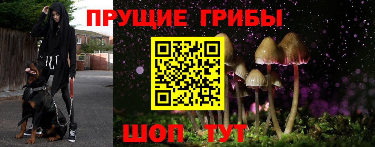 Галлюциногенные грибы мицелий  Вход с VPN  наркотики  Галлюциногенные грибы Magic Shrooms  Жуковский 