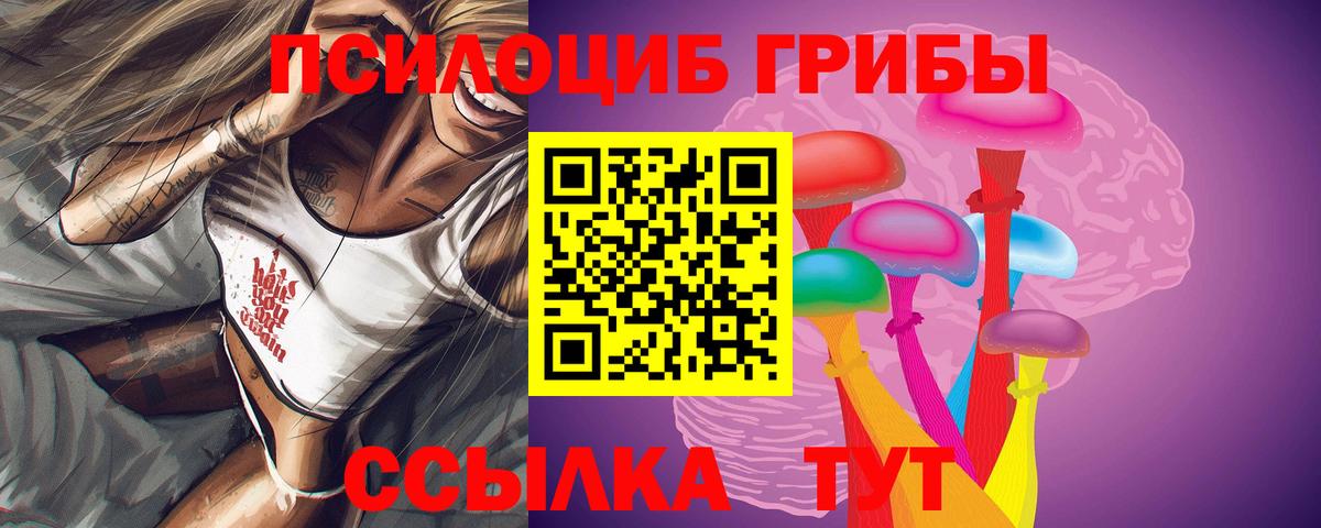 Псилоцибиновые грибы Cubensis Жуковский